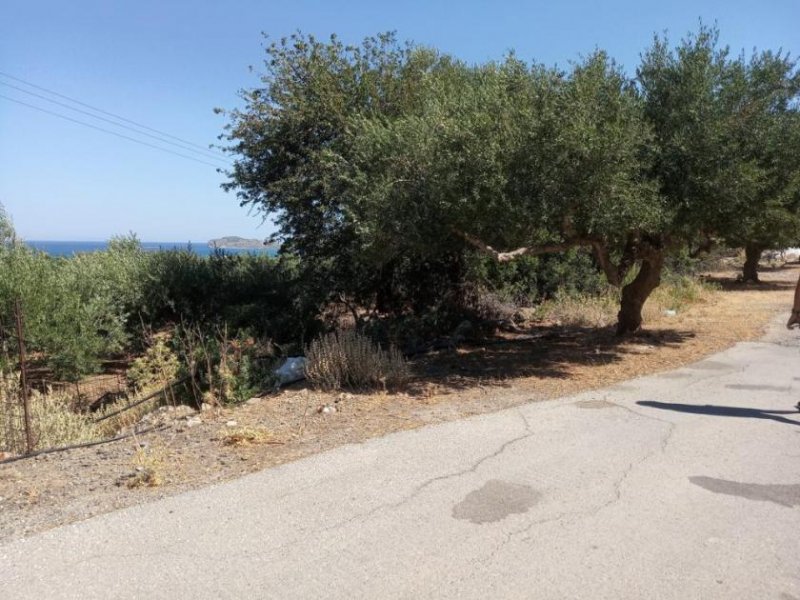 Kissamos Grundstück in der Nähe des Strandes von Falassarna Grundstück kaufen